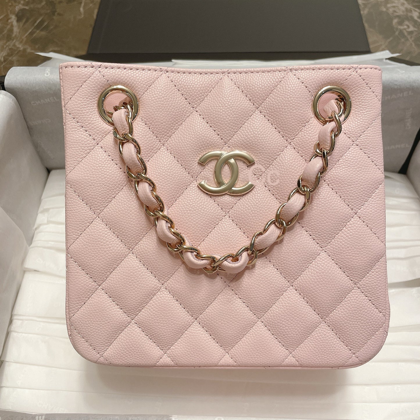 Chanel 22s mini tote in NH620
